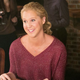 Illustration for article titled iInside Amy Schumer/i